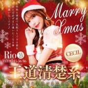 ヒメ日記 2025/12/24 13:41 投稿 リオ CECIL