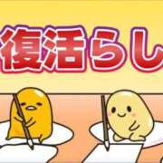 ヒメ日記 2026/03/13 16:34 投稿 リオ CECIL