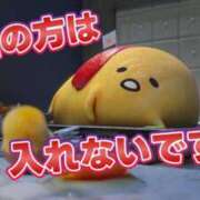 ヒメ日記 2026/04/09 23:38 投稿 リオ CECIL