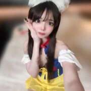 ヒメ日記 2025/12/12 22:10 投稿 ちわわ 浜松ハンパじゃない学園