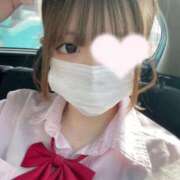 ヒメ日記 2025/12/13 00:30 投稿 ちわわ 浜松ハンパじゃない学園