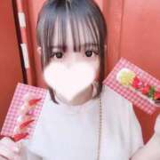 ヒメ日記 2025/12/13 21:10 投稿 ちわわ 浜松ハンパじゃない学園