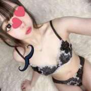 ヒメ日記 2025/12/14 14:30 投稿 ちわわ 浜松ハンパじゃない学園