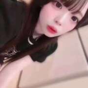 ヒメ日記 2025/12/14 16:20 投稿 ちわわ 浜松ハンパじゃない学園