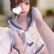 ヒメ日記 2025/12/15 03:40 投稿 ちわわ 浜松ハンパじゃない学園