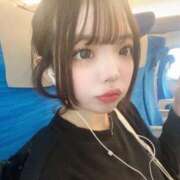 ヒメ日記 2025/12/17 13:30 投稿 ちわわ 浜松ハンパじゃない学園