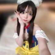 ちわわ ちわわランドへようこそ 浜松ハンパじゃない学園