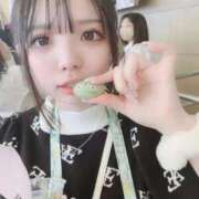 ヒメ日記 2026/01/22 15:00 投稿 ちわわ 浜松ハンパじゃない学園