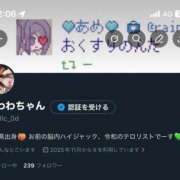 ヒメ日記 2026/01/23 12:29 投稿 ちわわ 浜松ハンパじゃない学園