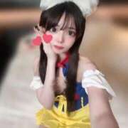 ヒメ日記 2026/02/06 14:50 投稿 ちわわ 浜松ハンパじゃない学園