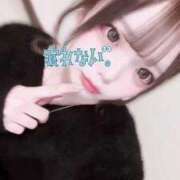 ヒメ日記 2026/02/07 20:50 投稿 ちわわ 浜松ハンパじゃない学園