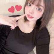 ヒメ日記 2026/02/13 15:20 投稿 ちわわ 浜松ハンパじゃない学園