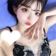 ヒメ日記 2026/02/14 13:20 投稿 ちわわ 浜松ハンパじゃない学園