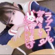 ヒメ日記 2026/05/07 03:20 投稿 ちわわ 浜松ハンパじゃない学園