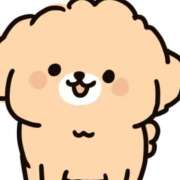 ヒメ日記 2025/12/13 18:11 投稿 みちゅ 池袋S級素人派遣型東京美少女物語