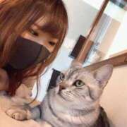 ヒメ日記 2026/08/01 20:14 投稿 ましろ（長身・巨乳） ソープランド ラ・メイド neo