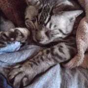 きょうか 🐈🐾 IRIS一宮