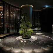 ヒメ日記 2026/01/21 00:26 投稿 Rion【リオン】 Aroma De Pari（アロマ・デ・パリ）