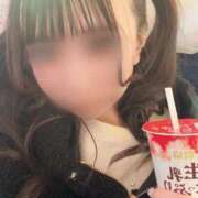 ヒメ日記 2025/12/11 14:26 投稿 みに チューリップ福井本館