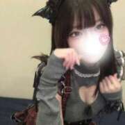 ヒメ日記 2026/08/30 00:00 投稿 せんい 黒い金魚（札幌）