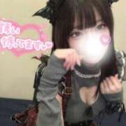 ヒメ日記 2026/09/01 17:00 投稿 せんい 黒い金魚（札幌）