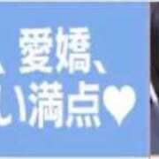 ヒメ日記 2026/09/04 18:51 投稿 せんい 黒い金魚（札幌）