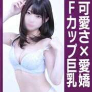 ヒメ日記 2026/09/26 00:50 投稿 せんい 黒い金魚（札幌）