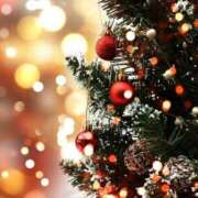 ヒメ日記 2025/12/24 08:19 投稿 橋本　あかり 熟女パラダイス池袋店(カサブランカグループ)