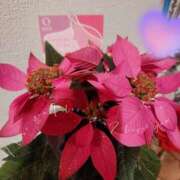 ヒメ日記 2025/12/11 10:19 投稿 亜希子 出会い系人妻ネットワーク 上野〜大塚編