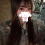 ヒメ日記 2025/12/08 12:16 投稿 まい KIREI（五反田）