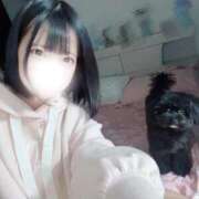 ヒメ日記 2025/12/29 04:53 投稿 うい アニバーサリー