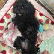 ヒメ日記 2026/01/24 00:24 投稿 うい アニバーサリー