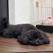 ヒメ日記 2026/03/01 04:35 投稿 うい アニバーサリー