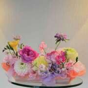 ヒメ日記 2026/01/15 21:27 投稿 白川麗子 有閑婦人＆Diana京都