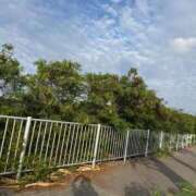 ヒメ日記 2025/12/12 18:02 投稿 ゆみ【至福の濃厚プレイ】 Mode（モード）◆理想の彼女◆