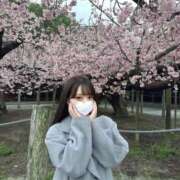 ヒメ日記 2025/12/04 17:50 投稿 みくり IRIS(岐阜)