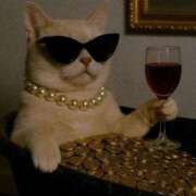 ヒメ日記 2025/12/17 22:03 投稿 エム Club NANA 神戸西宮