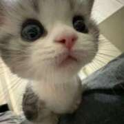 ヒメ日記 2025/12/28 19:09 投稿 エム Club NANA 大阪