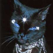 ヒメ日記 2026/01/03 22:08 投稿 エム Club NANA 大阪