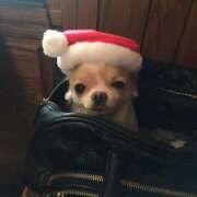 ヒメ日記 2026/01/06 21:03 投稿 エム Club NANA 大阪