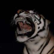 ヒメ日記 2026/01/07 03:33 投稿 エム Club NANA 大阪