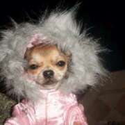 ヒメ日記 2026/01/13 00:33 投稿 エム Club NANA 大阪