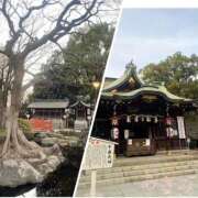 ヒメ日記 2026/01/26 19:06 投稿 あさみ 千葉人妻花壇