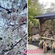 ヒメ日記 2026/03/31 01:05 投稿 あさみ 千葉人妻花壇