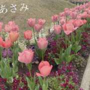 ヒメ日記 2026/09/30 00:52 投稿 あさみ 千葉人妻花壇