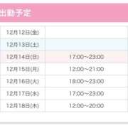 ヒメ日記 2025/12/12 14:29 投稿 美羽うみ ワイフコレクション