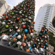 ヒメ日記 2025/12/21 11:39 投稿 美羽うみ ワイフコレクション