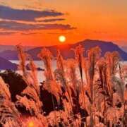 ヒメ日記 2026/01/15 03:06 投稿 なつこ 熟女家 京橋店