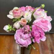 ヒメ日記 2026/01/22 22:46 投稿 なつこ 熟女家 京橋店