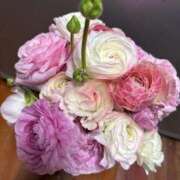 ヒメ日記 2026/01/28 01:46 投稿 なつこ 熟女家 京橋店